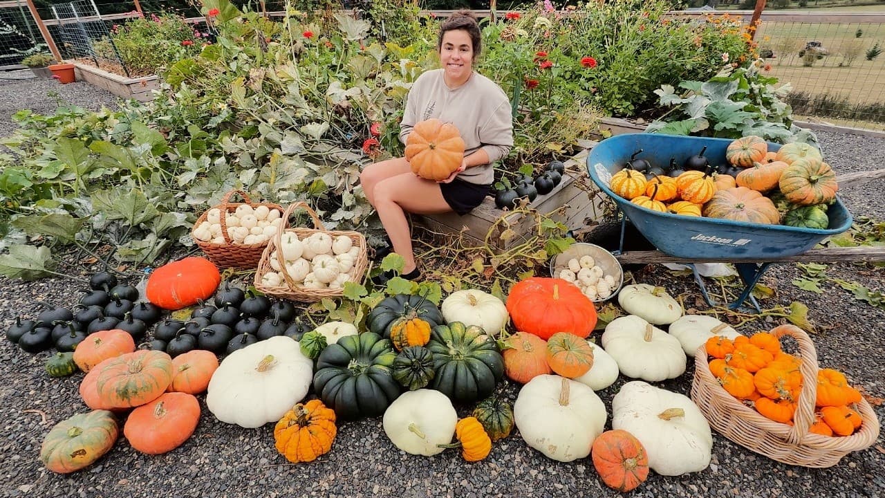 Cover Image for Youtube video: Blown AWAY by this EPIC Pumpkin Harvest!! Chicken Coop Update