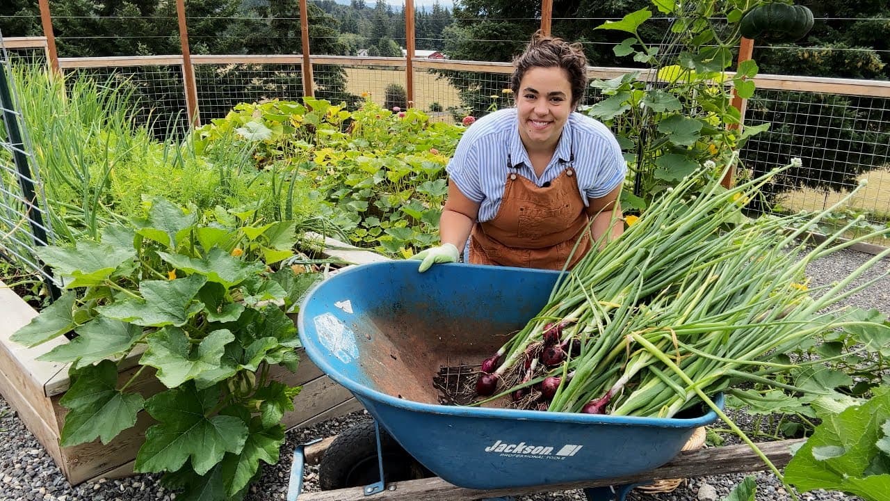 Cover Image for Youtube video: Using the Abundant Harvest to Make an Amazing Dinner!