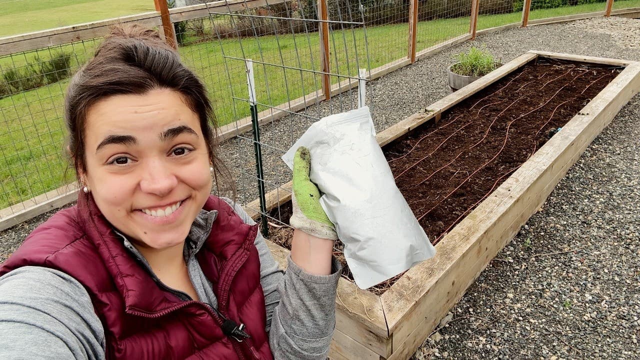 Cover Image for Youtube video: Starting the Crop That Feeds Us All Year!!