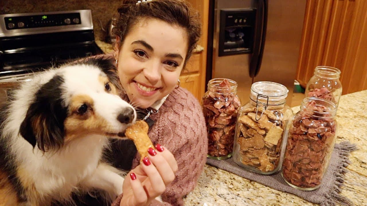 Cover Image for Youtube video: Making homemade dog treats two way! They Cannot Get Enough!