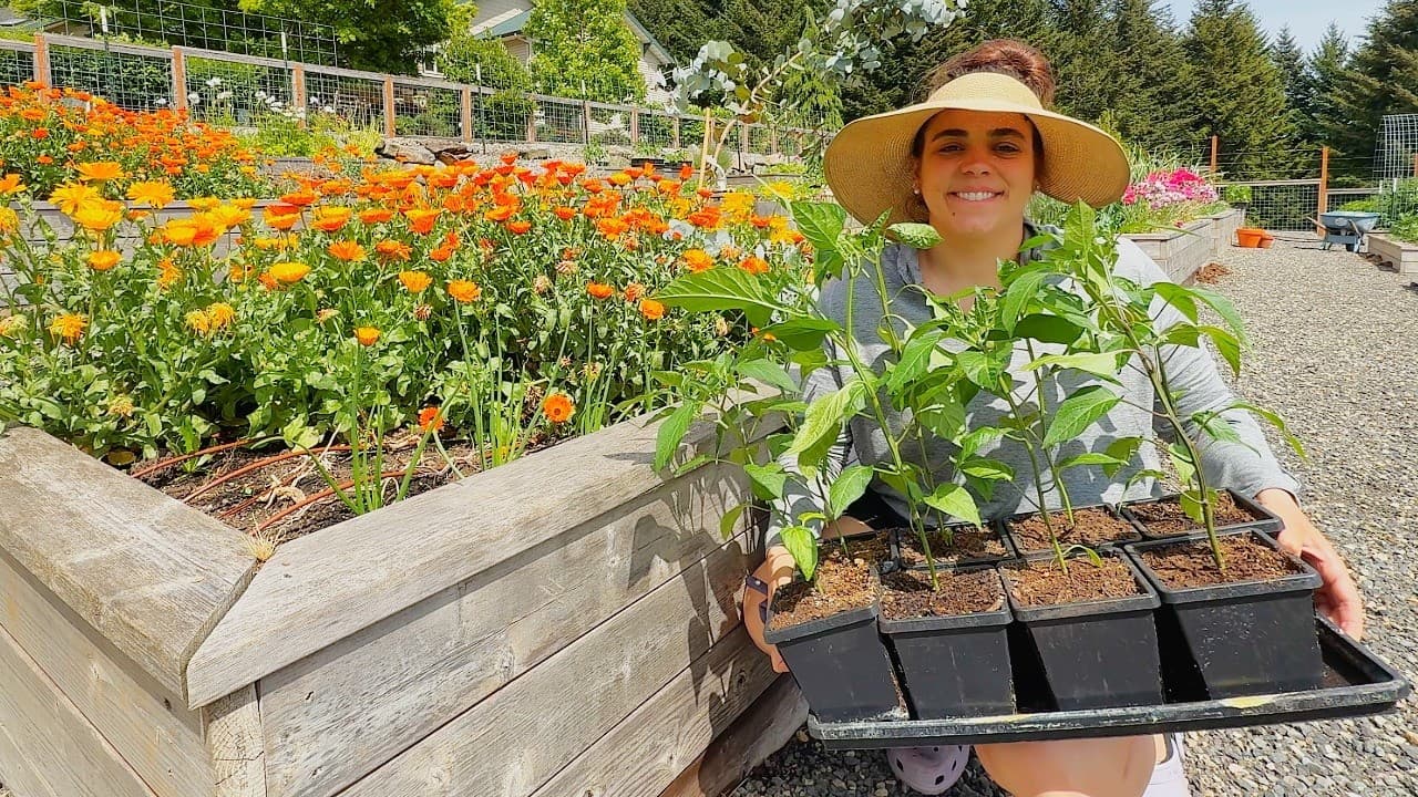 Cover Image for Youtube video: Planting the Crops that Will Feed Us All Winter!