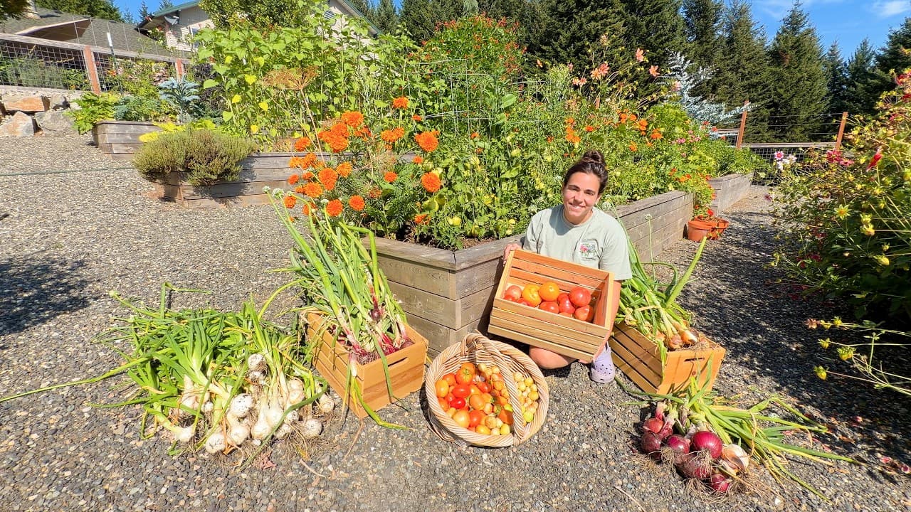 Cover Image for Youtube video: One Last Summer Day to Bake, Harvest, and Get It All Done!