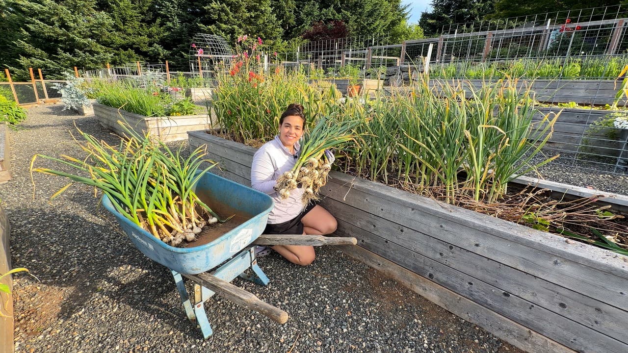 Cover Image for Youtube video: I Grew Enough to Last All Year!
