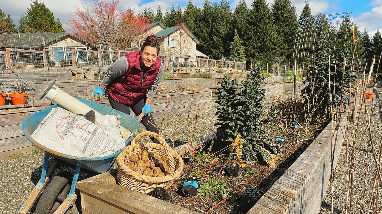 Cover Image for Youtube video: First Big Planting DAY!! Starting My 2026 Garden and Planting All the Potatoes!