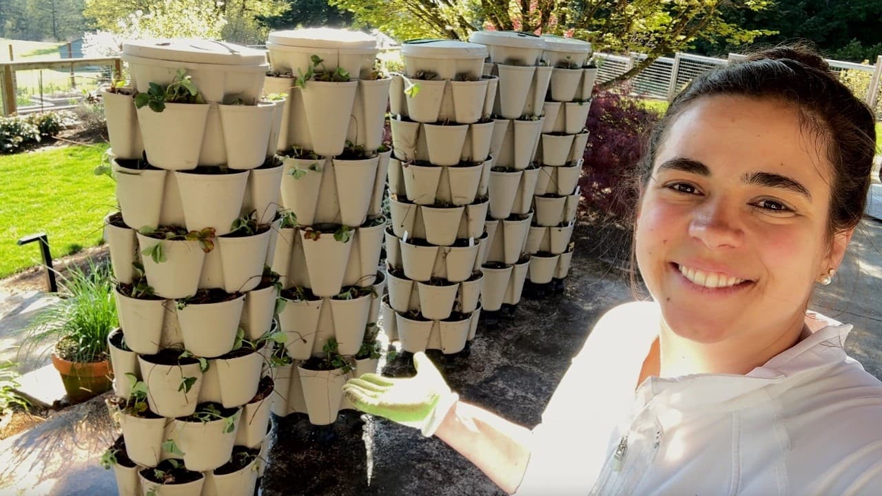 Cover Image for Youtube video: I will NOT make the same mistake TWICE!